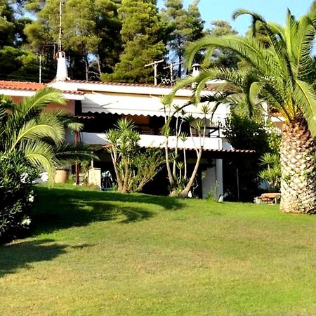 Beachfront Villa 100M From Sea For Up To 10 Guests Siviri Dış mekan fotoğraf