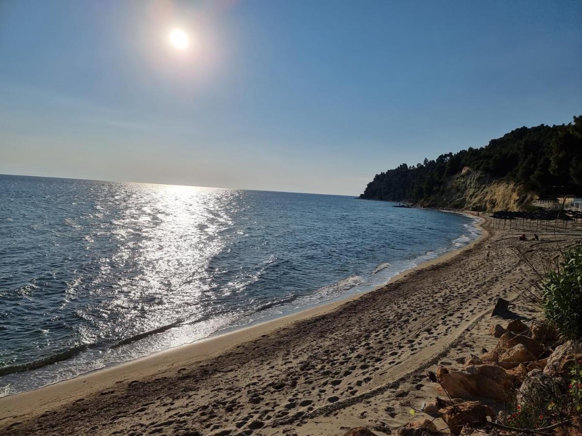 Beachfront Villa 100M From Sea For Up To 10 Guests Siviri Dış mekan fotoğraf