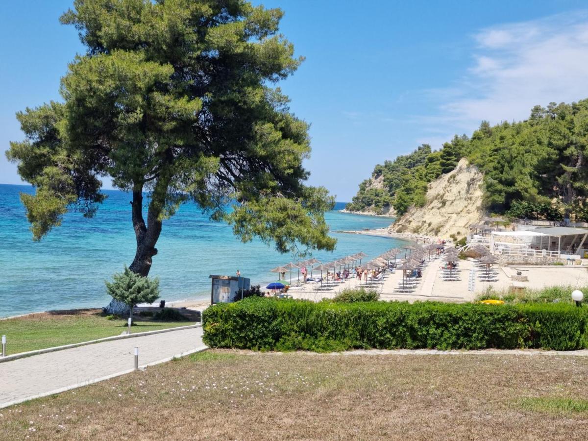 Beachfront Villa 100M From Sea For Up To 10 Guests Siviri Dış mekan fotoğraf