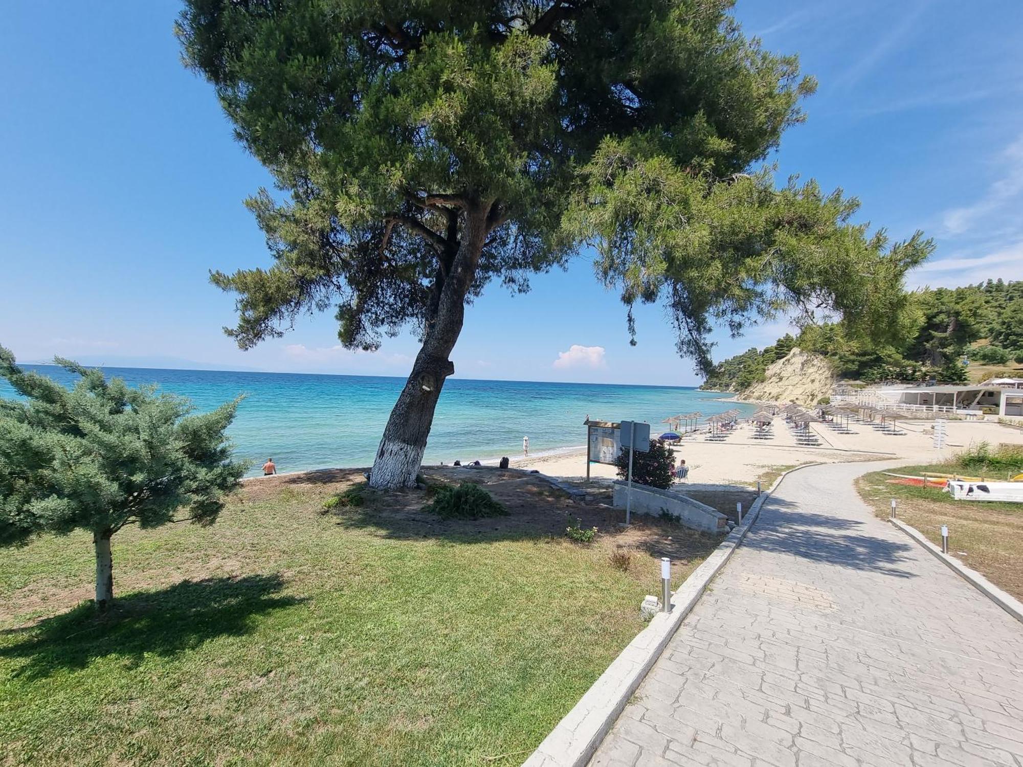 Beachfront Villa 100M From Sea For Up To 10 Guests Siviri Dış mekan fotoğraf